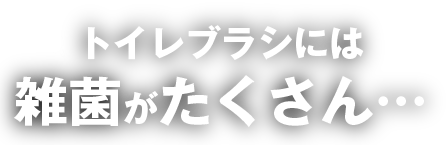 トイレブラシには雑菌がたくさん…